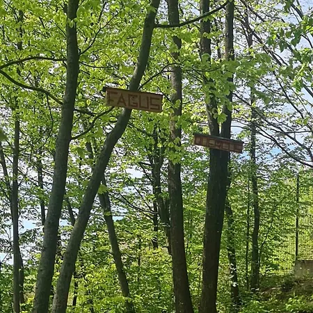 캠프장 4 Hill Station