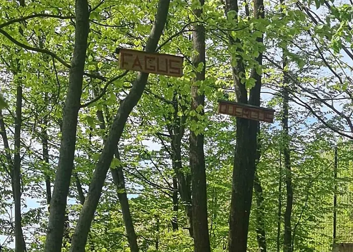 캠프장 4 Hill Station